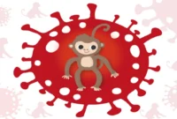 Monkey Pox Outbreak